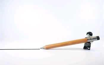 Opportunità di lavoro nel Non Profit (07/08/2025)