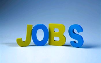 Opportunità di lavoro nel Non Profit (01/10/2026)